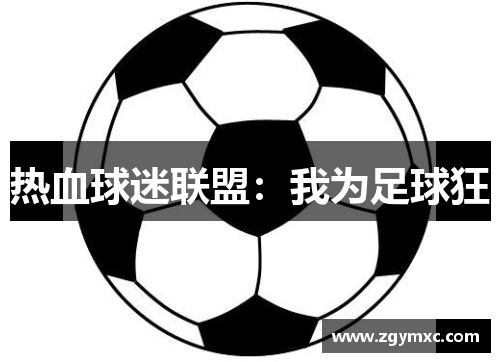 热血球迷联盟：我为足球狂